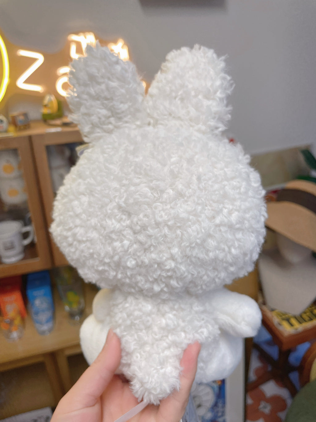 Sanrio Japan's new winter snowflake ❄️ My Melody plush toy.
