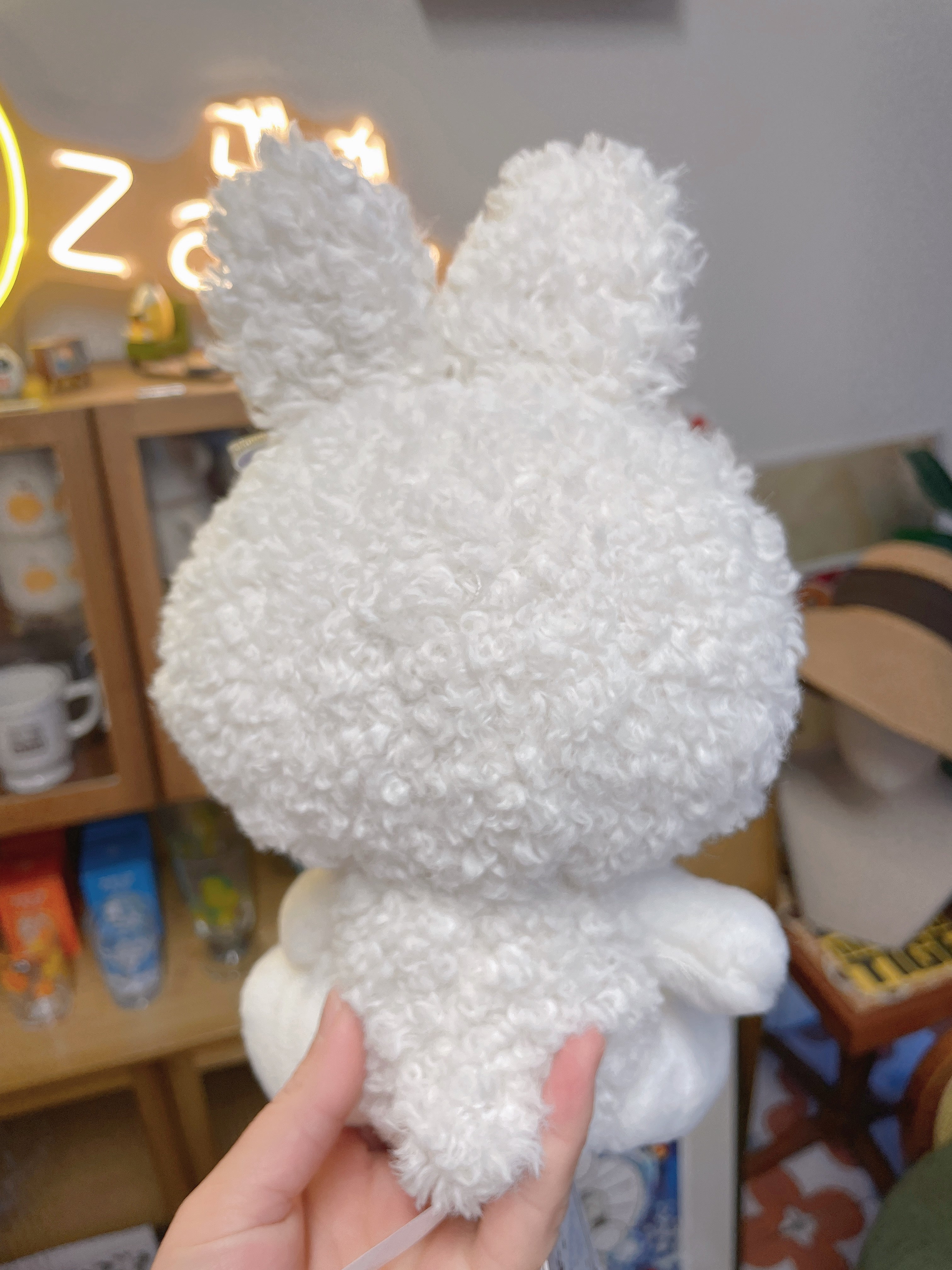 Sanrio Japan's new winter snowflake ❄️ My Melody plush toy.